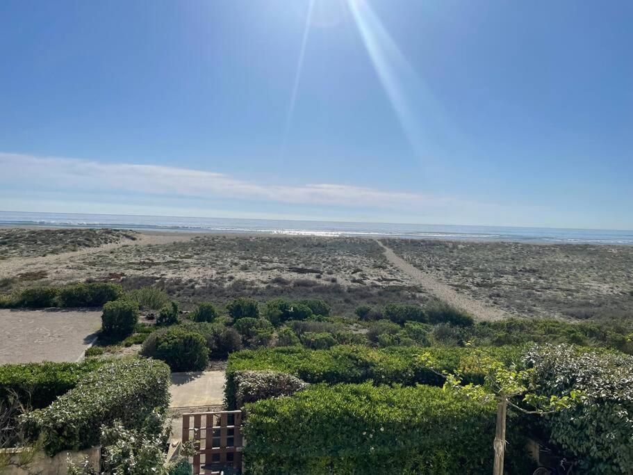 Port Leucate : Superbe Appartement Pleine Vue Mer Kültér fotó